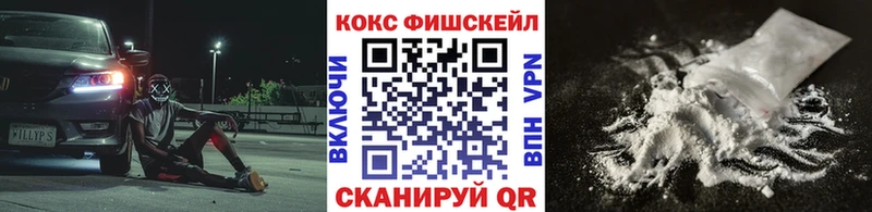 MEGA сайт  Венёв  Cocaine FishScale 