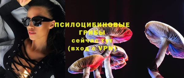сатива Алзамай