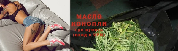 сатива Алзамай
