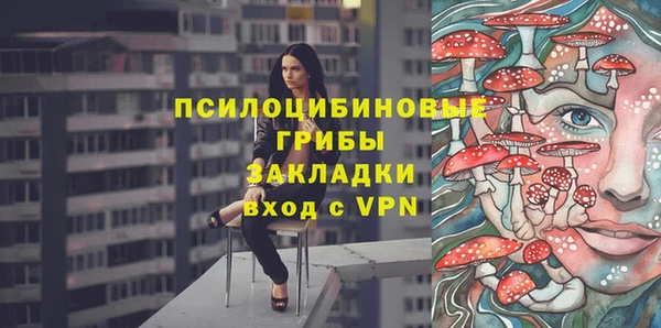 сатива Алзамай