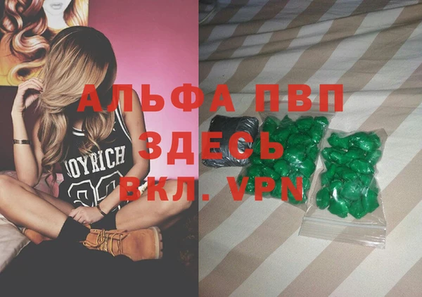 сатива Алзамай