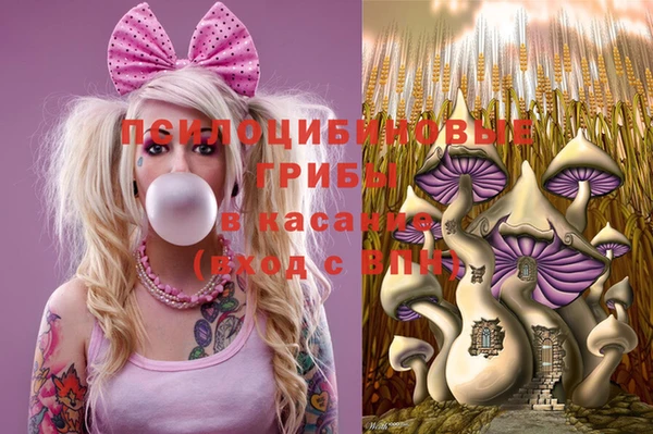 сатива Алзамай