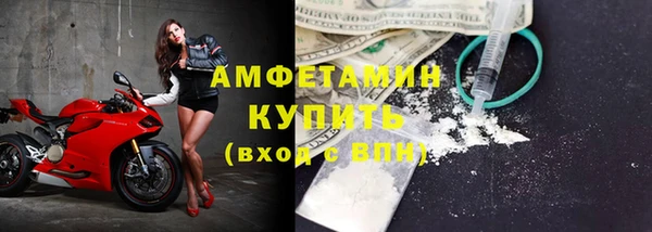 сатива Алзамай