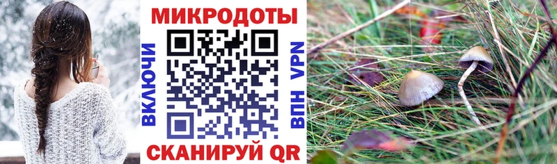 блэк спрут зеркало  Венёв  Галлюциногенные грибы Magic Shrooms 